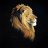 Mr Lion